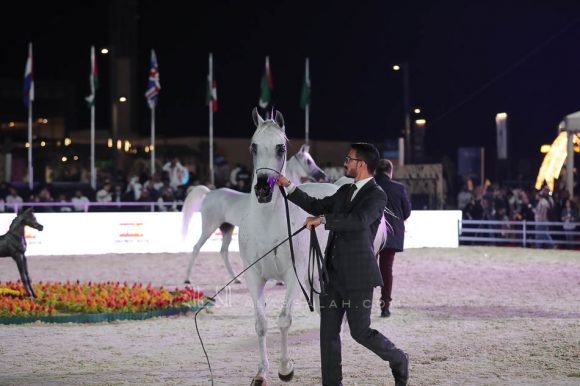 الشرقيةA83I9957