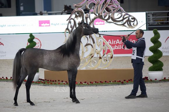 ISSS4806الشارقة