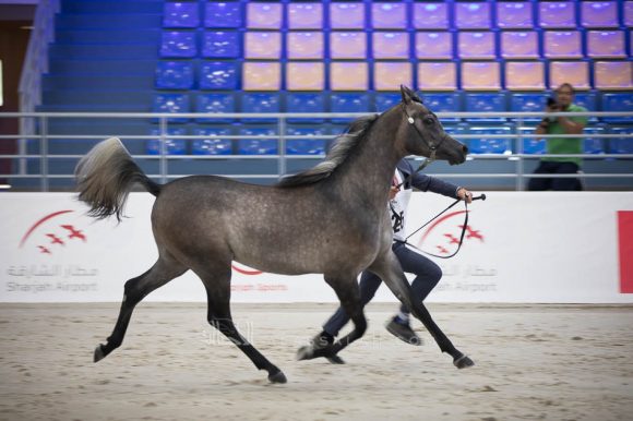 ISSS4815الشارقة