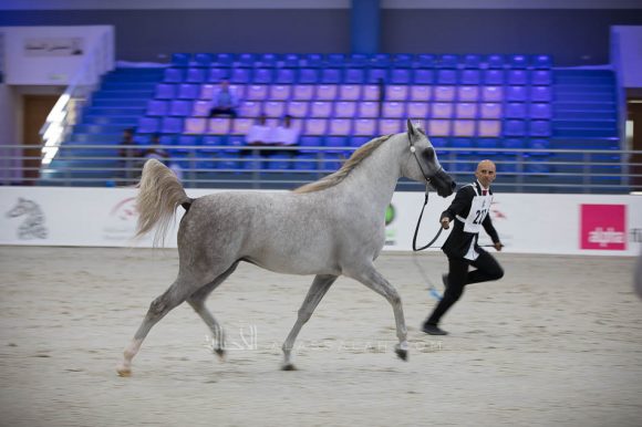 ISSS4828الشارقة