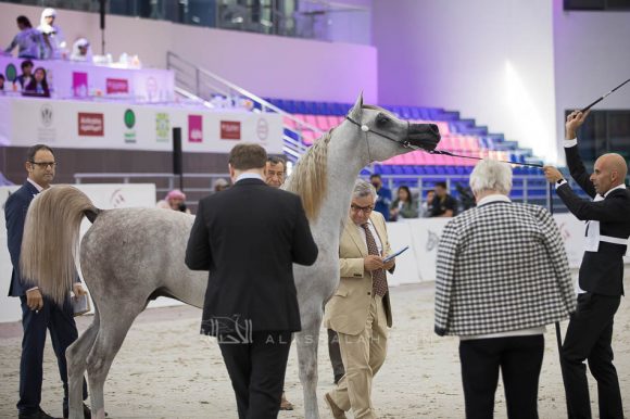 ISSS4833الشارقة