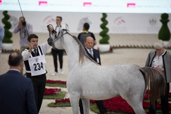 ISSS4842الشارقة