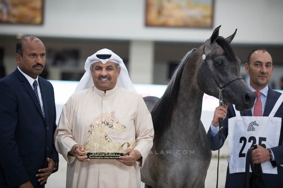 ISSS4865الشارقة