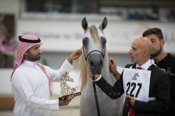 ISSS4883الشارقة