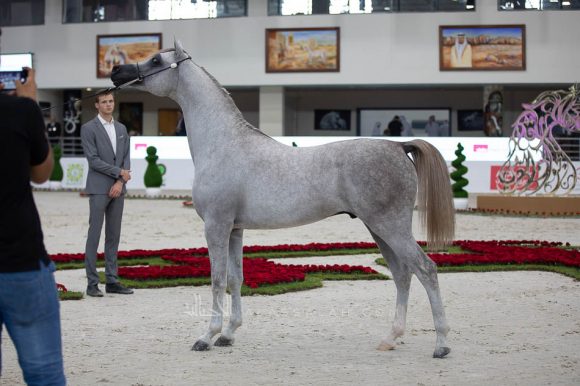 ISSS4885الشارقة