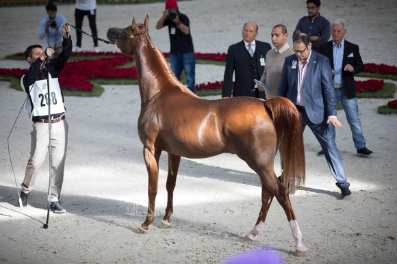 ISSS4922الشارقة