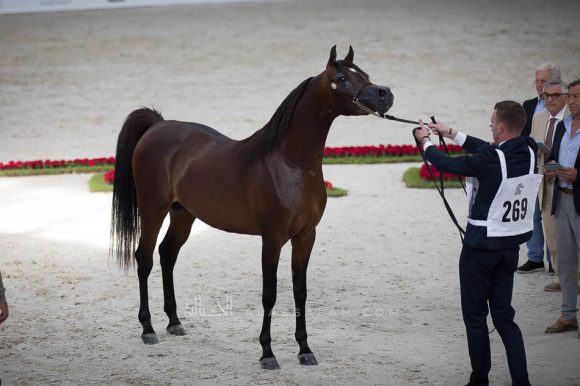 ISSS4936الشارقة