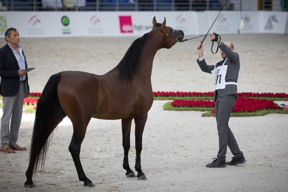 ISSS4955الشارقة