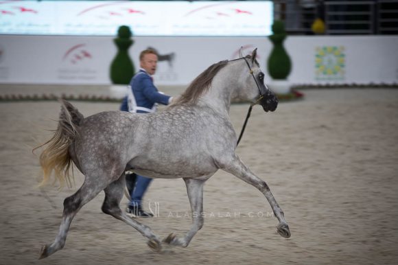 ISSS4956الشارقة