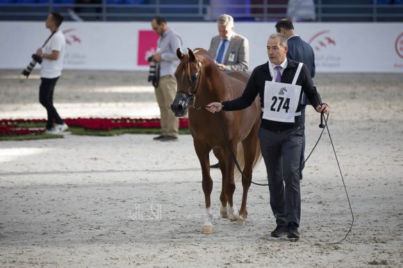 ISSS4965الشارقة