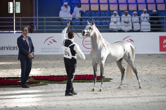 ISSS4968الشارقة