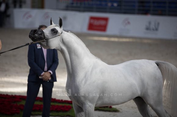 ISSS4979الشارقة