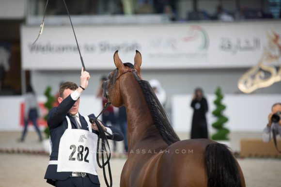 ISSS4984الشارقة