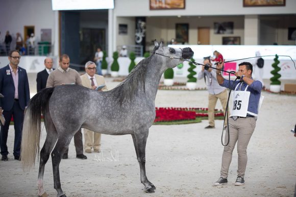 ISSS4987الشارقة