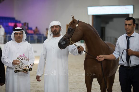 ISSS5012الشارقة