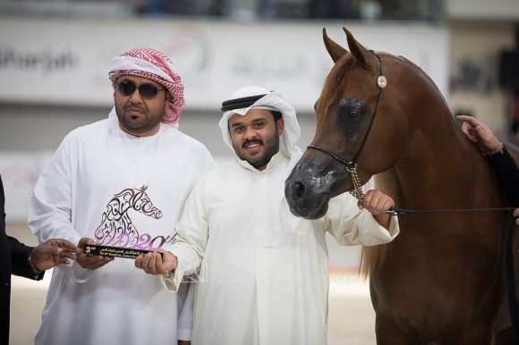 ISSS5033الشارقة