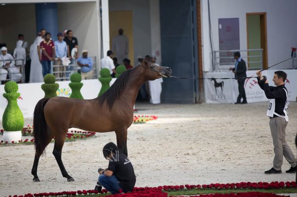 ISSS5052الشارقة