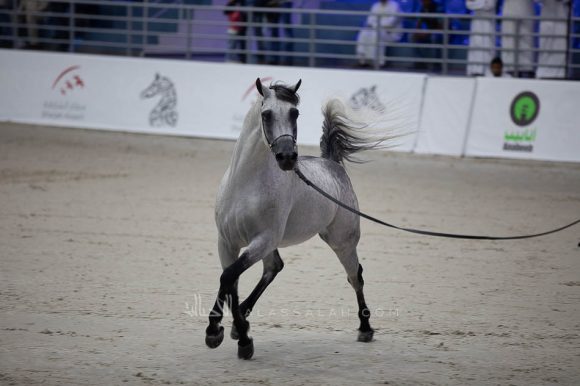 ISSS5071الشارقة