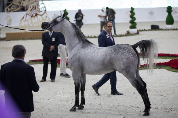 ISSS5082الشارقة