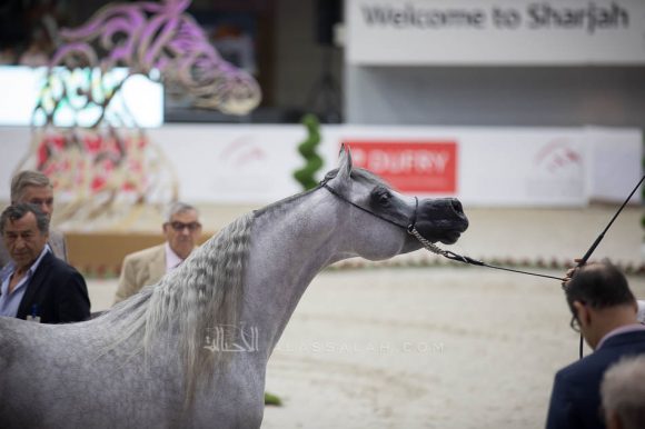 ISSS5089الشارقة