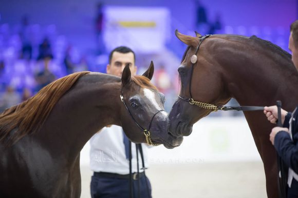 ISSS5130الشارقة