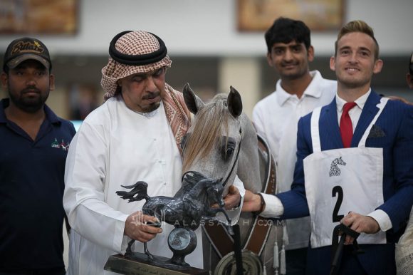 ع ج أفكار (شنغهاي أي آي x ع ج اسياد) مربط الشيخ عبدالله بن ماجد القاسمي- الإمارات