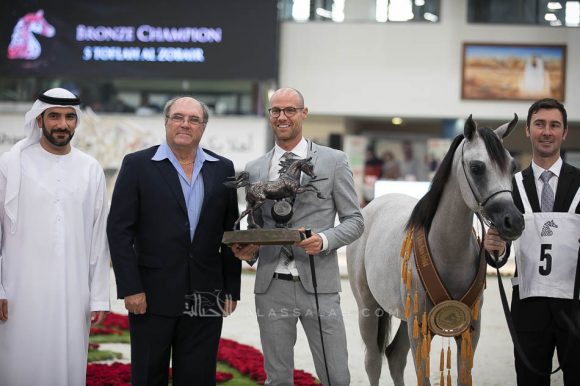 طفله الزبير (اس.ام.اي.ماجيك وان x إموزيوني الفنتور) مربط الزبير- الإمارات