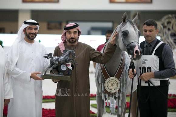 آر كي سديم (ماكد مونيسكيون x بي في اسبيشلي ستيفانا) مربط جمال محمد صالح البلوشي- الإمارات