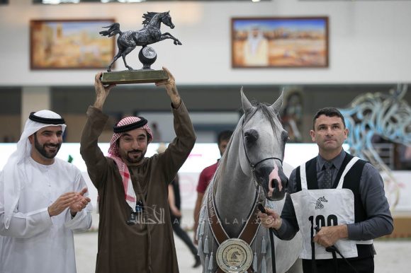 آر كي سديم (ماكد مونيسكيون x بي في اسبيشلي ستيفانا) مربط جمال محمد صالح البلوشي- الإمارات