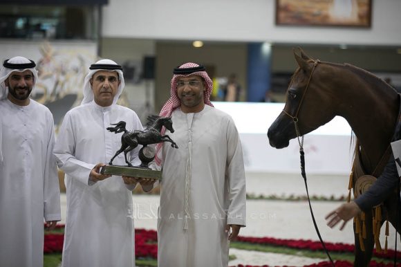 : اف اس فنزويلا (فيرفالدي x اف اس مدلين) مربط خالد غانم العميري- الإمارات
