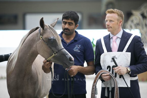 الأريام شكلان (اكساليبور أي ايه x الأريام شكيرة) إسطبلات الأريام – الإمارات