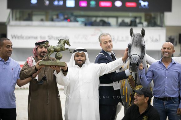 سانداون كي ايه (كيو ار مارك x ال سيرنيلا) مربط الصقران- الإمارات