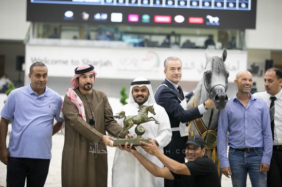 سانداون كي ايه (كيو ار مارك x ال سيرنيلا) مربط الصقران- الإمارات