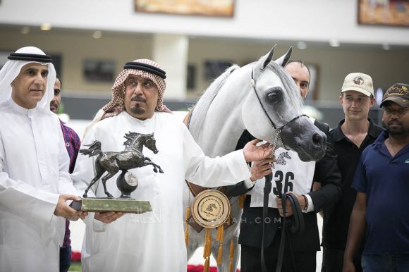 إي اس سراب (مراج x مهاجيستي) الشيخ عبدالله بن ماجد القاسمي – الإمارات