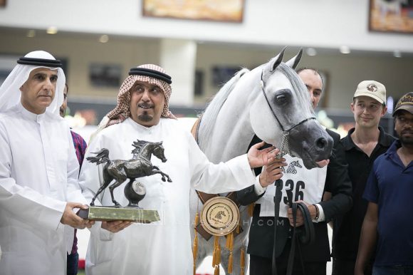 إي اس سراب (مراج x مهاجيستي) الشيخ عبدالله بن ماجد القاسمي – الإمارات