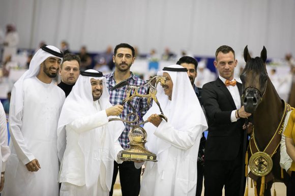 ماريا مجدالينا ان دبليو اي (اف ايه الرشيم  xمجرالينا ان دبليو اي) مربط الهواجر – الإمارات.
Maria Magdalena NWA (FA El Rasheem x Magdalina NWA) Dr. Ghanem Mohamed Obaid Al Hajri
– UAE
