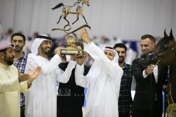 ماريا مجدالينا ان دبليو اي (اف ايه الرشيم  xمجرالينا ان دبليو اي) مربط الهواجر – الإمارات.
Maria Magdalena NWA (FA El Rasheem x Magdalina NWA) Dr. Ghanem Mohamed Obaid Al Hajri
– UAE
