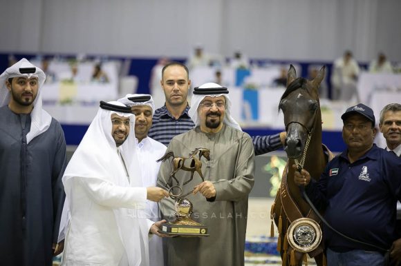 فام دوناتيلا (دومنيك ام  xدي كريستال مون) مربط الجواهر – الإمارات.
Fame Donatella (Dominic M x D Crystal Moon) Al Jawaher Arabian Horse Stud- UAE
