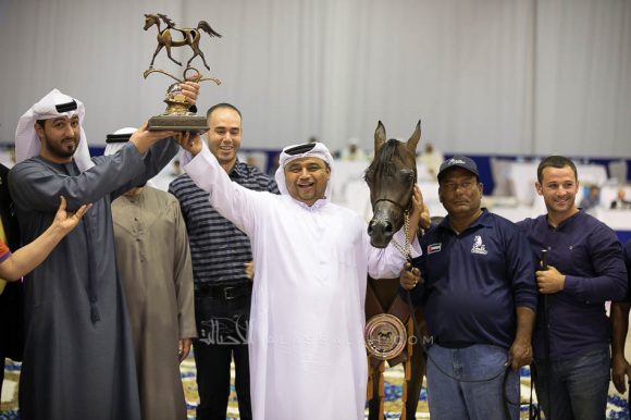فام دوناتيلا (دومنيك ام  xدي كريستال مون) مربط الجواهر – الإمارات.
Fame Donatella (Dominic M x D Crystal Moon) Al Jawaher Arabian Horse Stud- UAE
