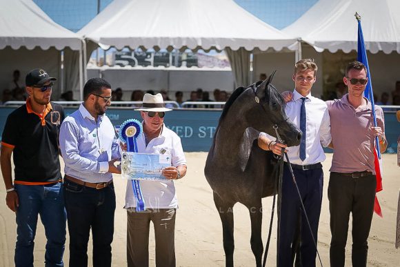 Female - Meton-07198