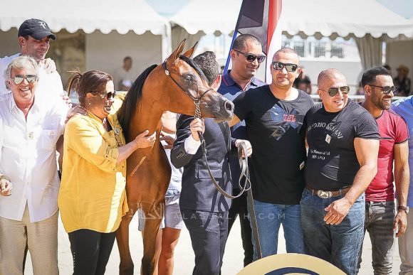 Female - Meton-07403