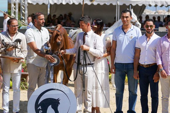 Female - Meton-07433