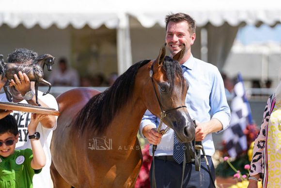 رويال أصيلة (رويال اسد x آر ارابيلا) مربط نسما – السعودية