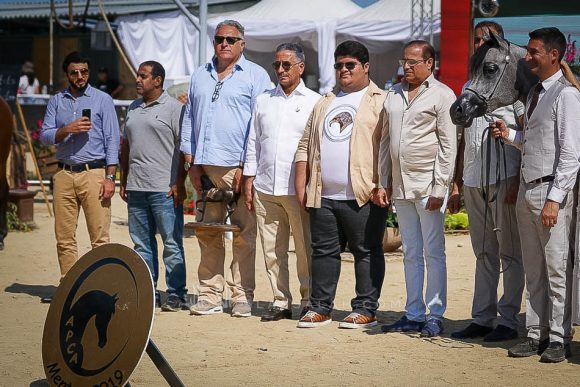 دي شيهانه (ايه ال رشيم x دي شهلا) مربط دبي – الإمارات