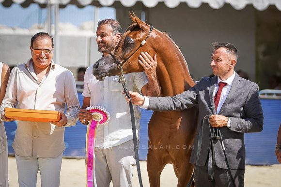 Female - Meton-07604