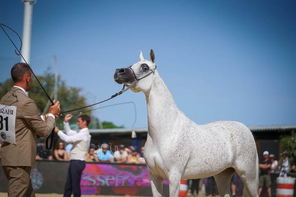 Female - Meton-07640