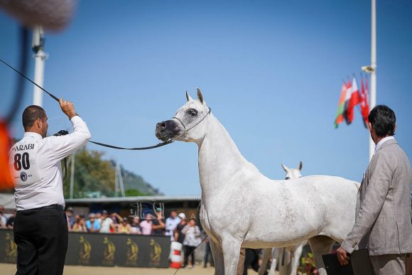 Female - Meton-07649