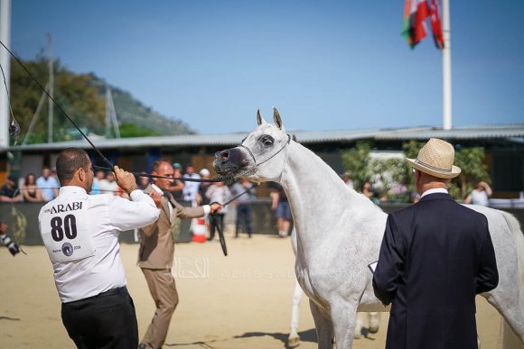 Female - Meton-07653