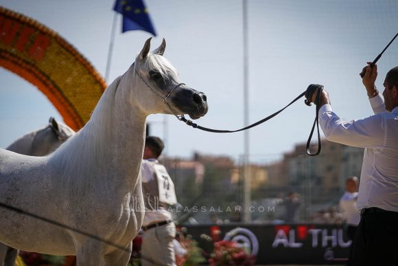 Female - Meton-07681