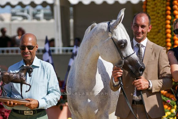 Female - Meton-07745